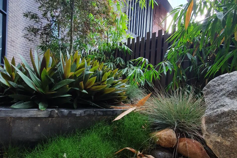 Planting and Turfing Blue Mountains