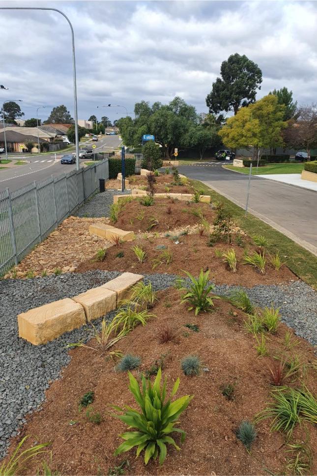 native plants Garden Design