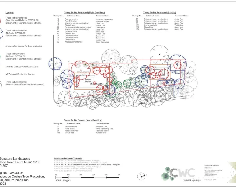 Davidson Road Leura DA Landscape Tree Protection and Pruning Plan
