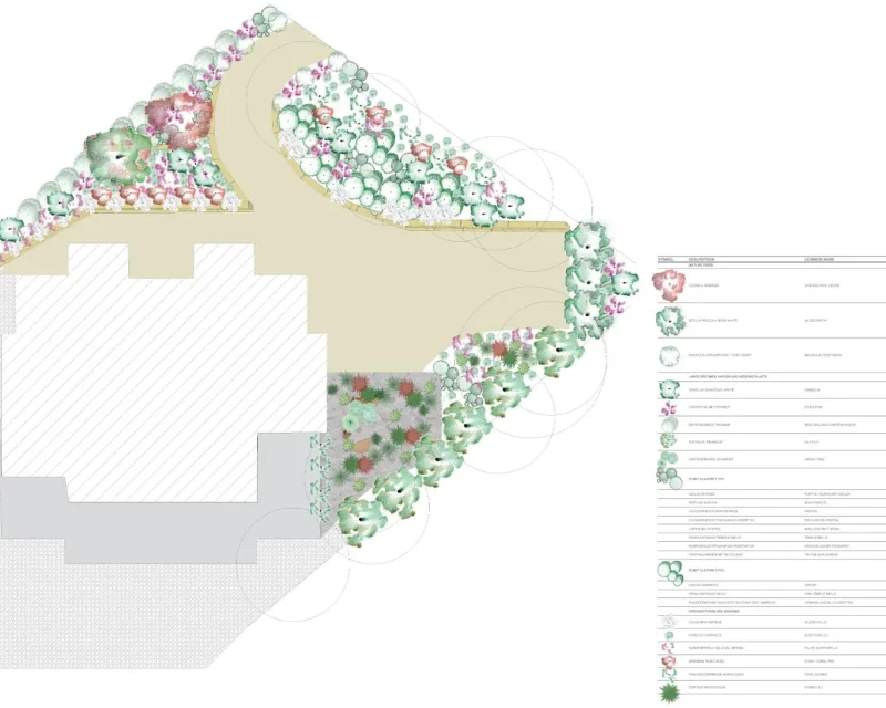 Wentworth Falls Planting Plan